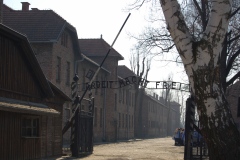 7.-AUSCHWITZ