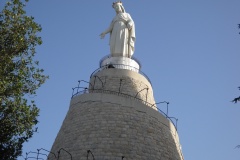 39-HARISSA